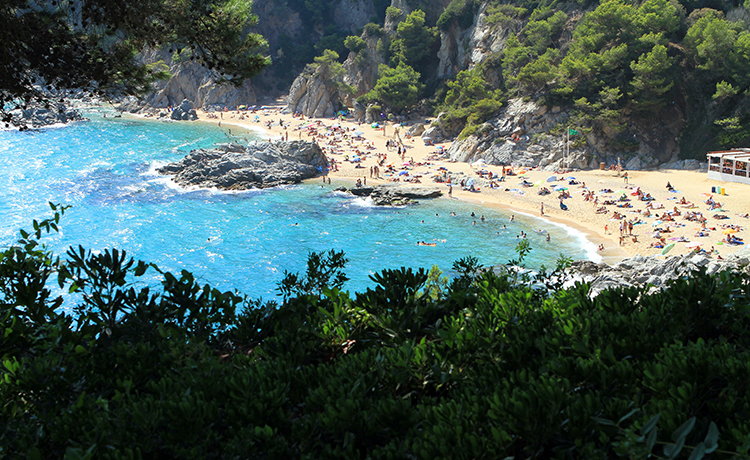 Tossa de mar  2