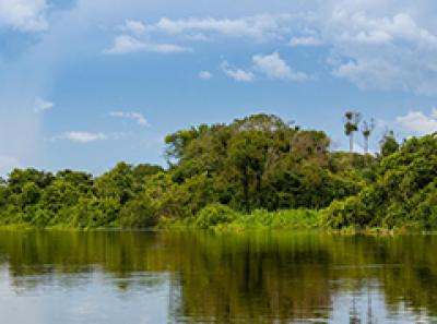 Pantanal - Wetlands