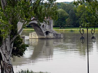 Avignon - Papal