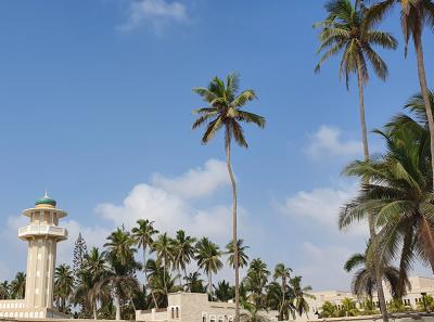 Salalah 06