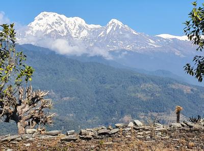 Dhampus 04 Annapurna