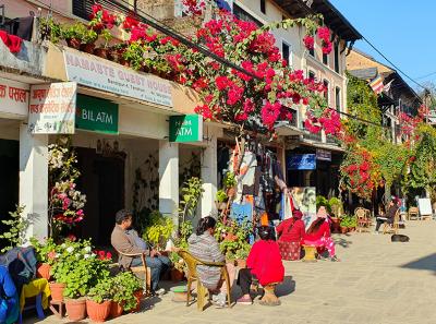 Bandipur 03