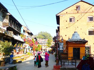 Bandipur 08