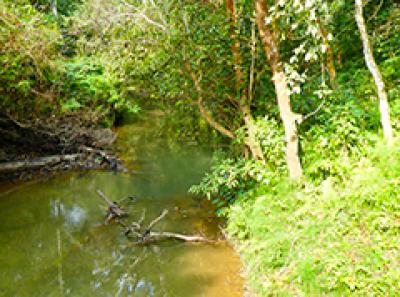 Chitwan - The park