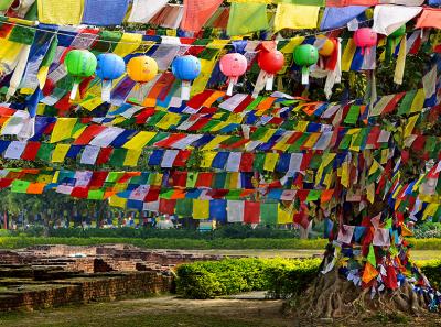 Lumbini 14