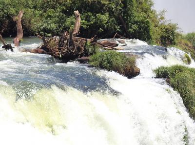 Iguacu Brazil 08