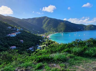 Tortola 01