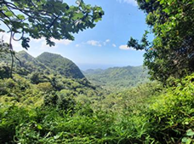 Grenada - The Rock