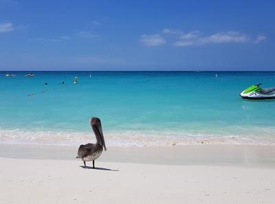 Aruba04