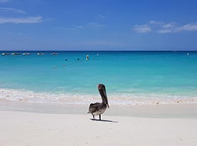Aruba - One happy island